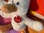 Immagine 1