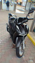 Sh 125 2022