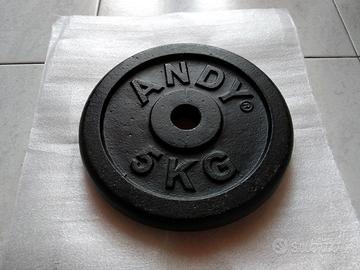 4 dischi di ghisa da 5Kg per manubri