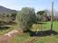 Immagine 21
