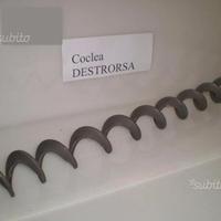 Coclea per caldaie, stufe, a pellet, biomasse