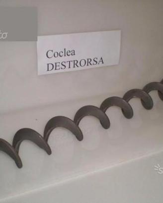 Coclea per caldaie, stufe, a pellet, biomasse
