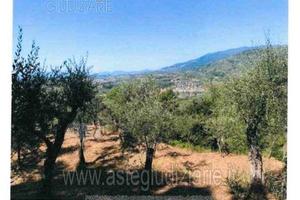 Terreno Agricolo Uzzano [A4344420]