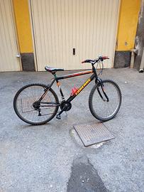 Mountain Bike 26 deliziosa