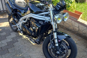 Triumph Speed Daytona