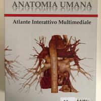 Atlante anatomia