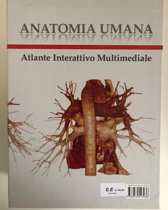 Atlante anatomia