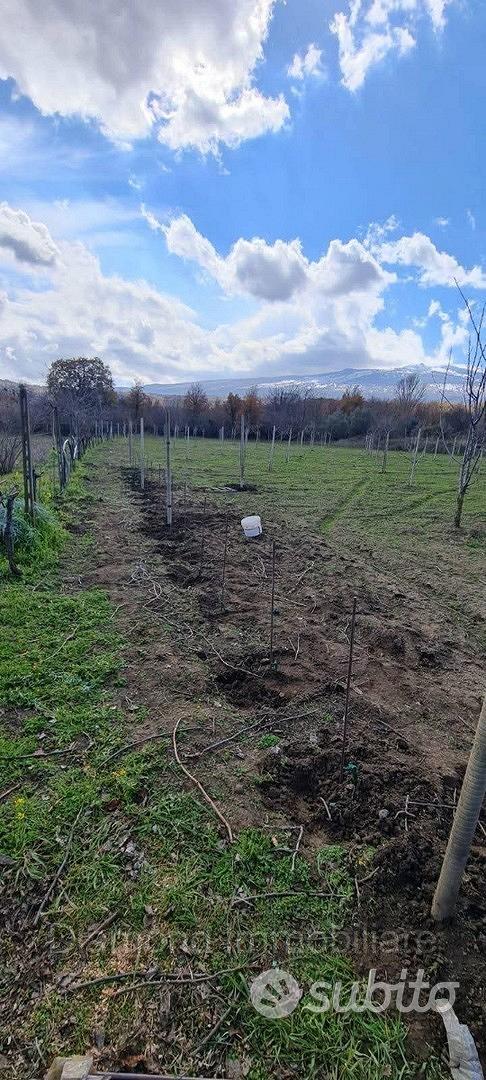 Terreno con rustico a Castiglione di Sicilia - Vista 5