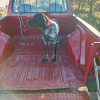 Cane Setter