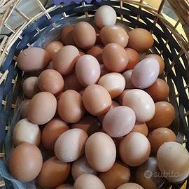 Prodotto per la casa