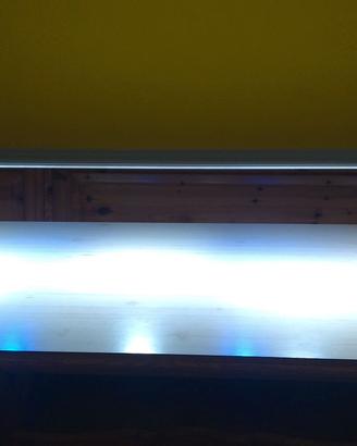 plafoniera per acquario