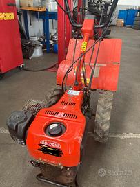 Motocoltivatore Goldoni Uno 8s