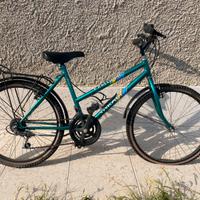 Bicicletta vintage