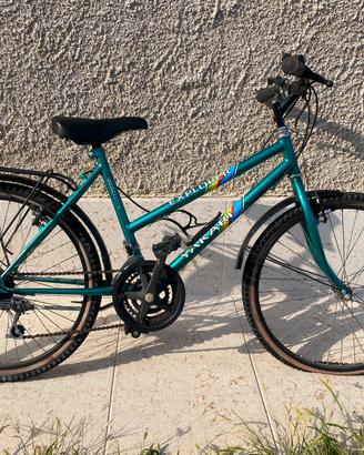 Bicicletta vintage