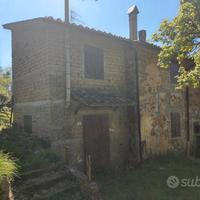 Terratetto con terreno