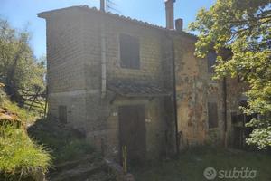 Terratetto con terreno