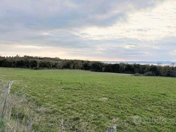 Terreno di 32900 m² a Trevignano Romano - Vista 4