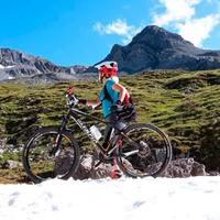 MTB olimpia carbonio S