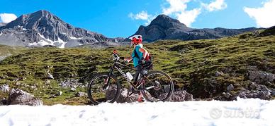 MTB olimpia carbonio S