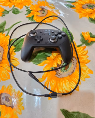 Controller Pro Nintendo Switch 2