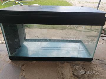 Acquario