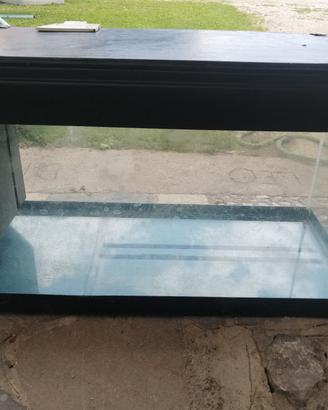 Acquario