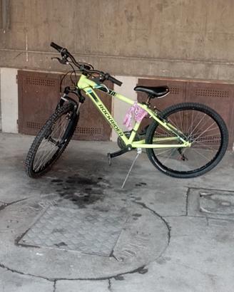 bici    rockrider