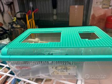 Acquario per tartarughe