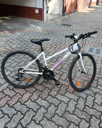 bicicletta adulto