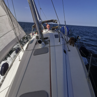 Uscite in barca a vela