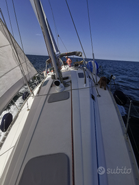 Uscite in barca a vela