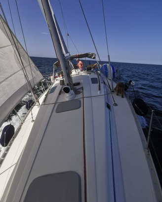 Uscite in barca a vela