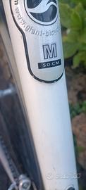 bicicletta  giant