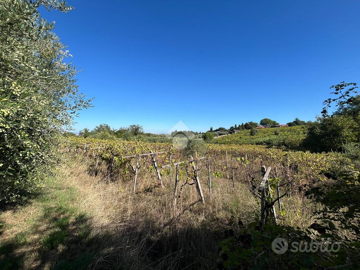 TER. AGRICOLO A FRASCATI - Altro