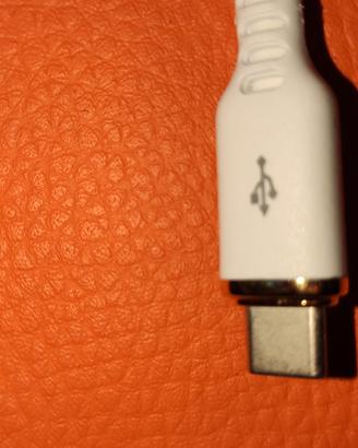 Cavo iphone lightning 1m
