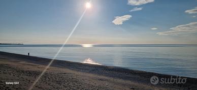 Magazzino commerciale