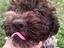Immagine 4