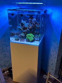 Acquario marino 90 litri