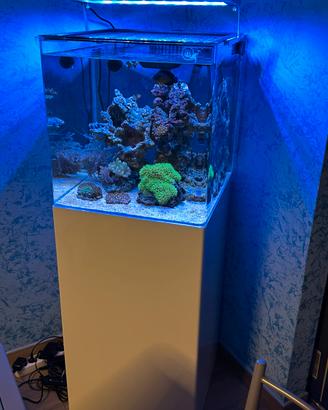 Acquario marino 90 litri