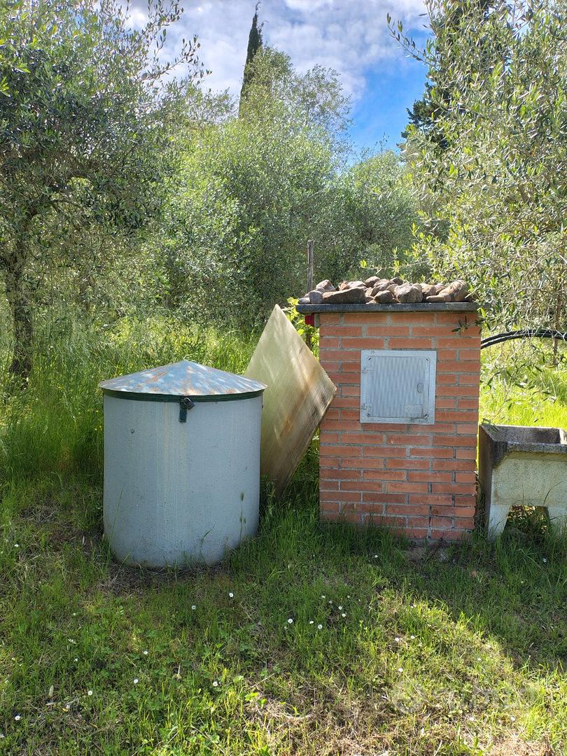 Terreno con ulivi - Vista 3
