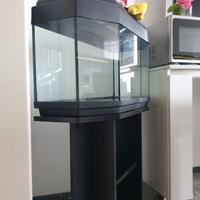 ACQUARIO  CON MOBILETTO