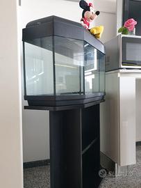 ACQUARIO  CON MOBILETTO