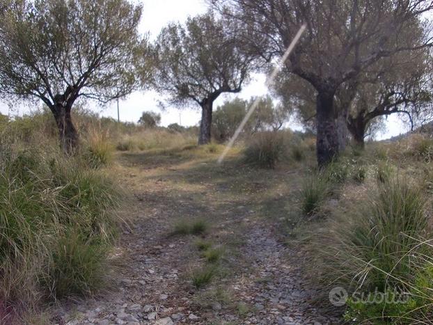 Terreno Residenziale San Giovanni a Piro [625VRG]