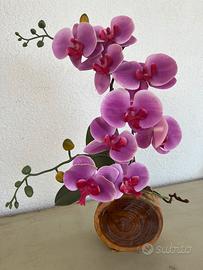 Orchidea