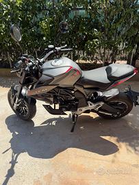 LEM BRUTUS 110