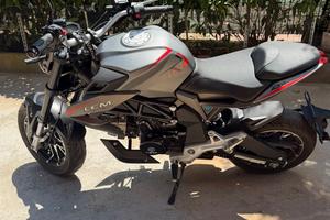 LEM BRUTUS 110