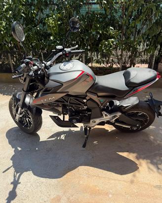LEM BRUTUS 110