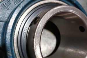 Cuscinetto con supporto