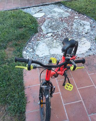 bicicletta 