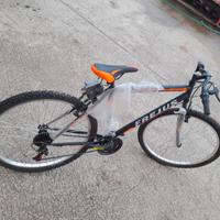 Bicicletta ragazzo